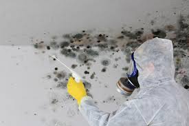 Best Mold Remediation for Healthcare Facilities  in Stock Island, FL